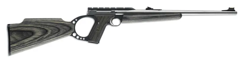 Buck Mark Rifle Stainless Grey Laminate, Sporter